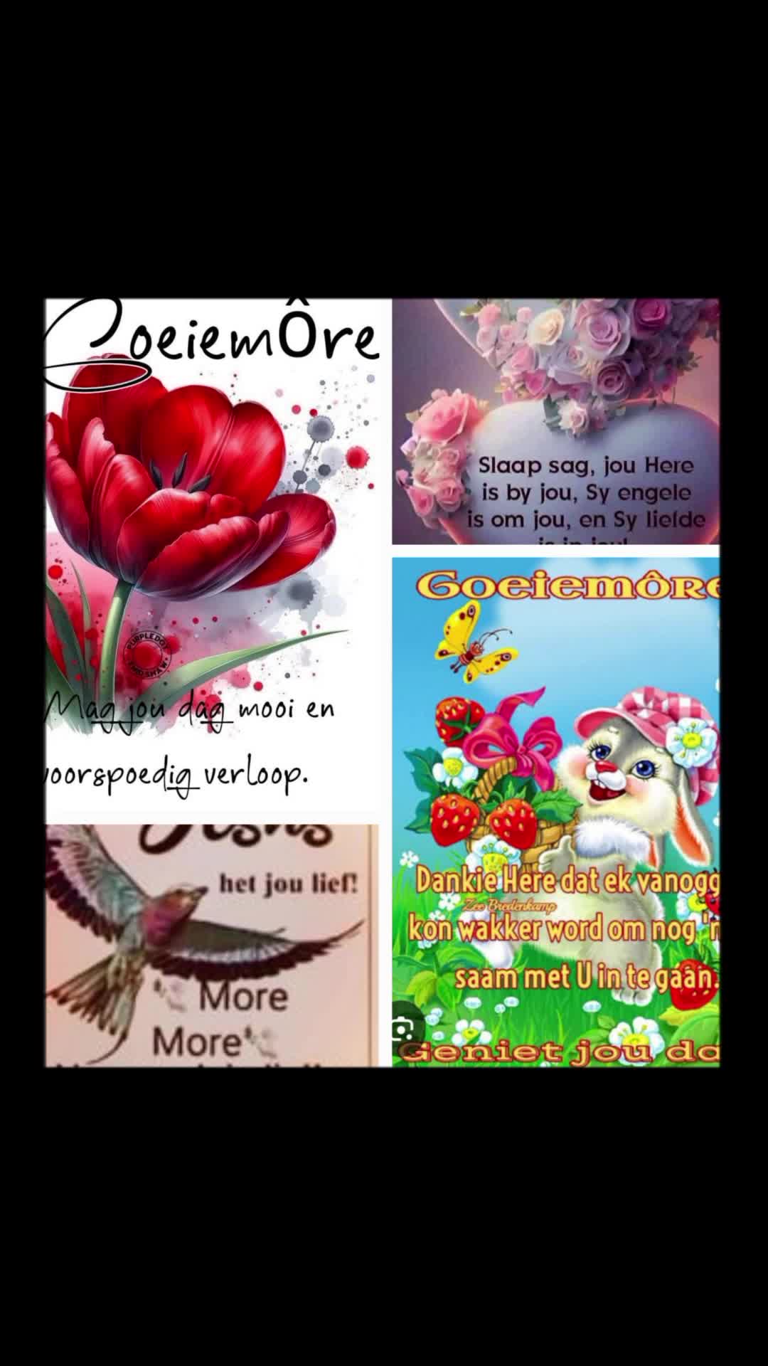 @Theunsie Deysel
