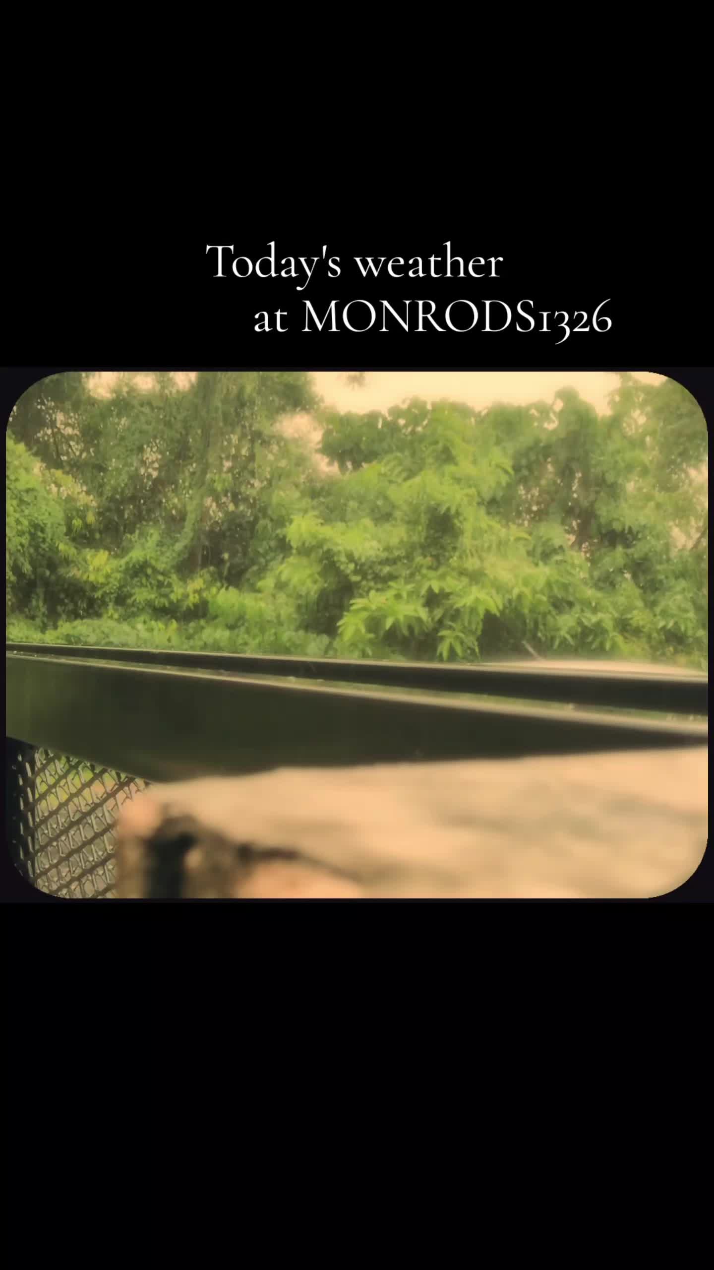 @monrods1326