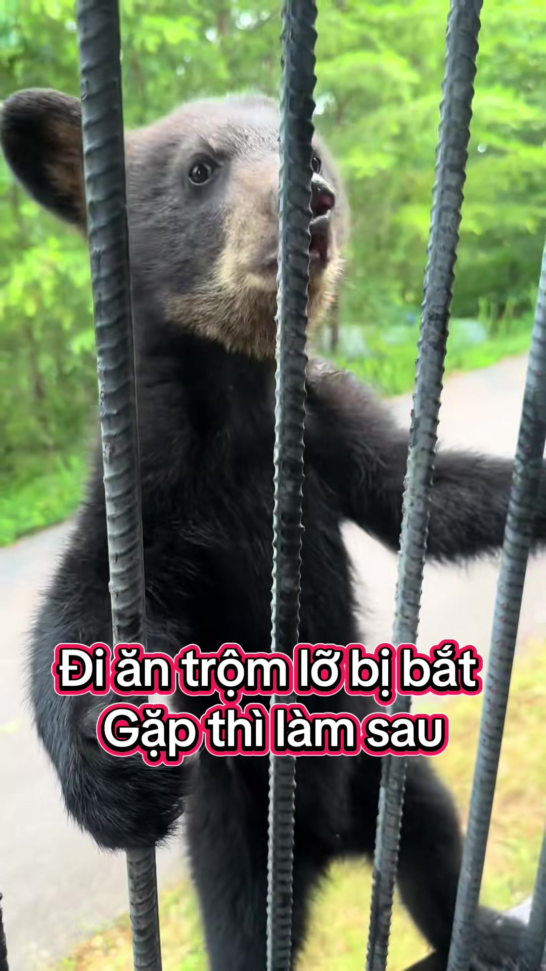 @Đi & Go