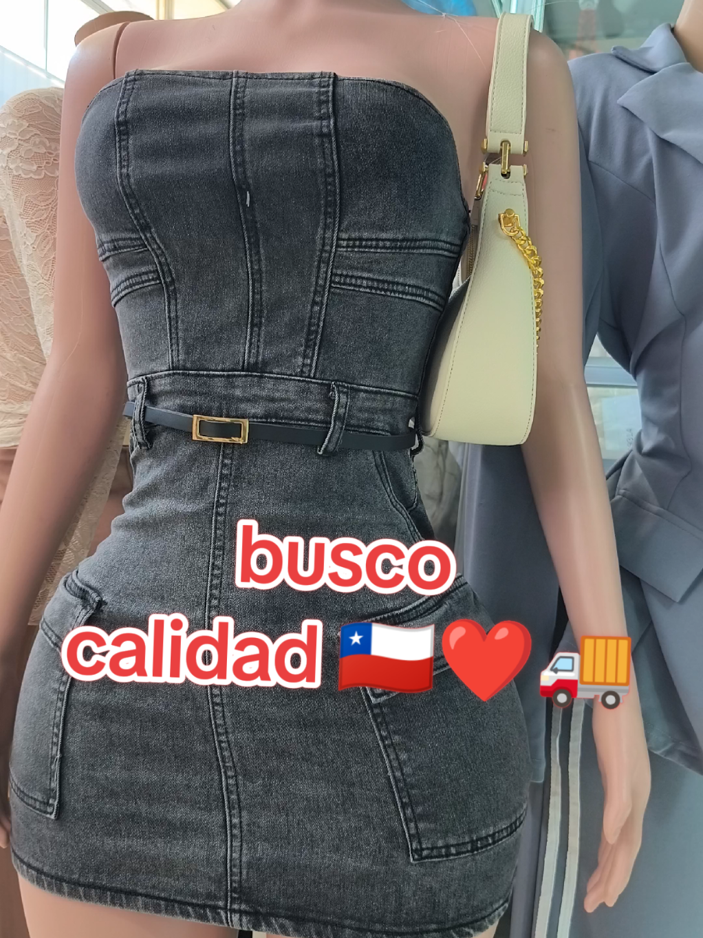 @Ladyblue.cl