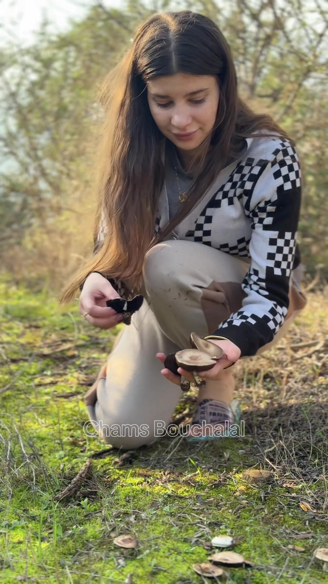 @شمس ❤︎ 𝒄𝒉𝒂𝒎𝒔