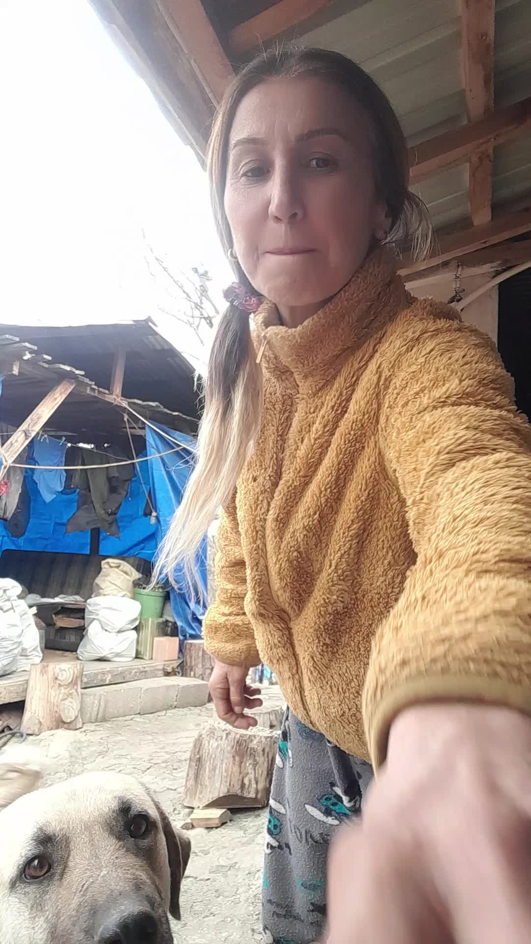 @emine dörttepe