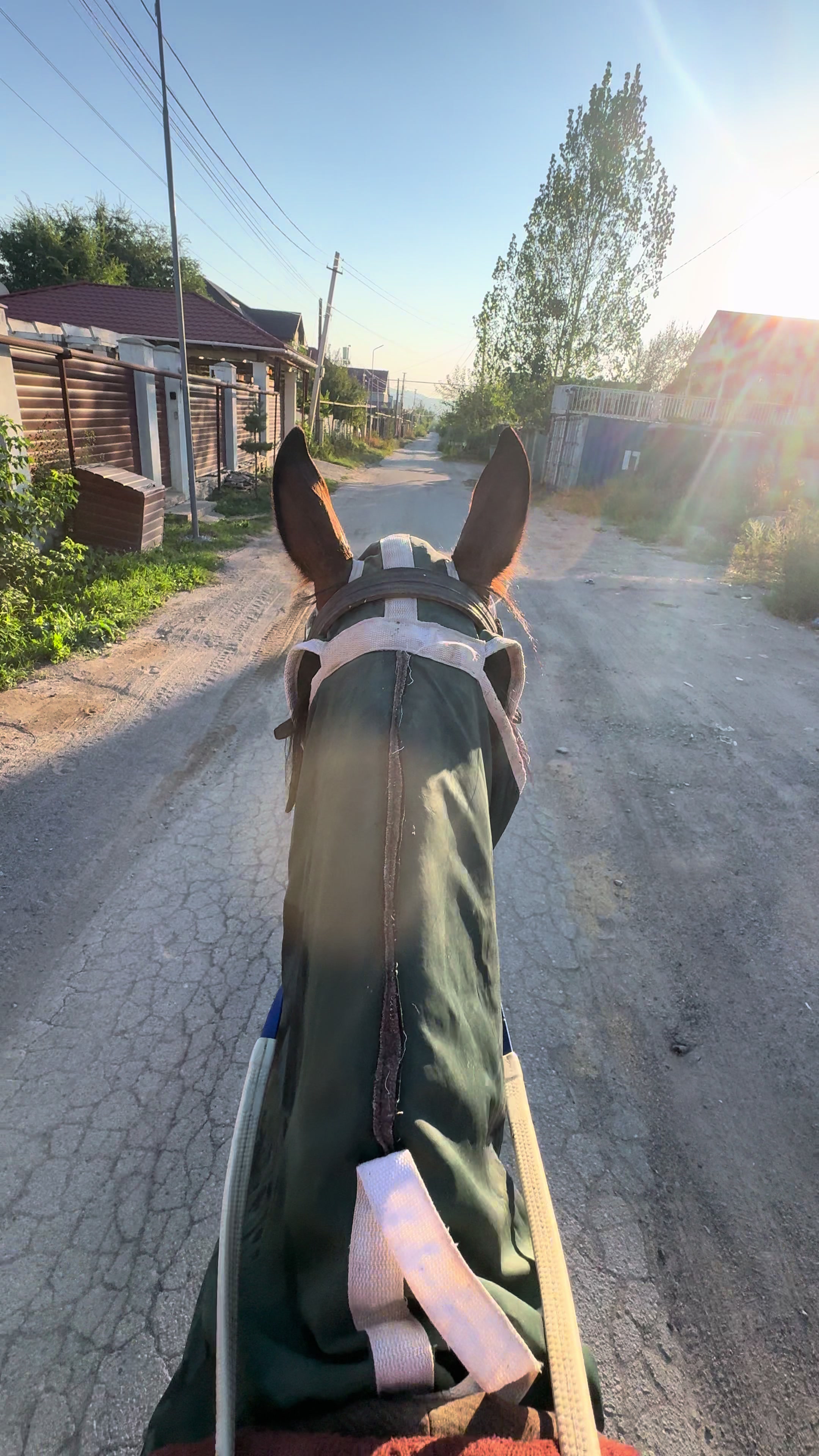 @🐎Ева🐎