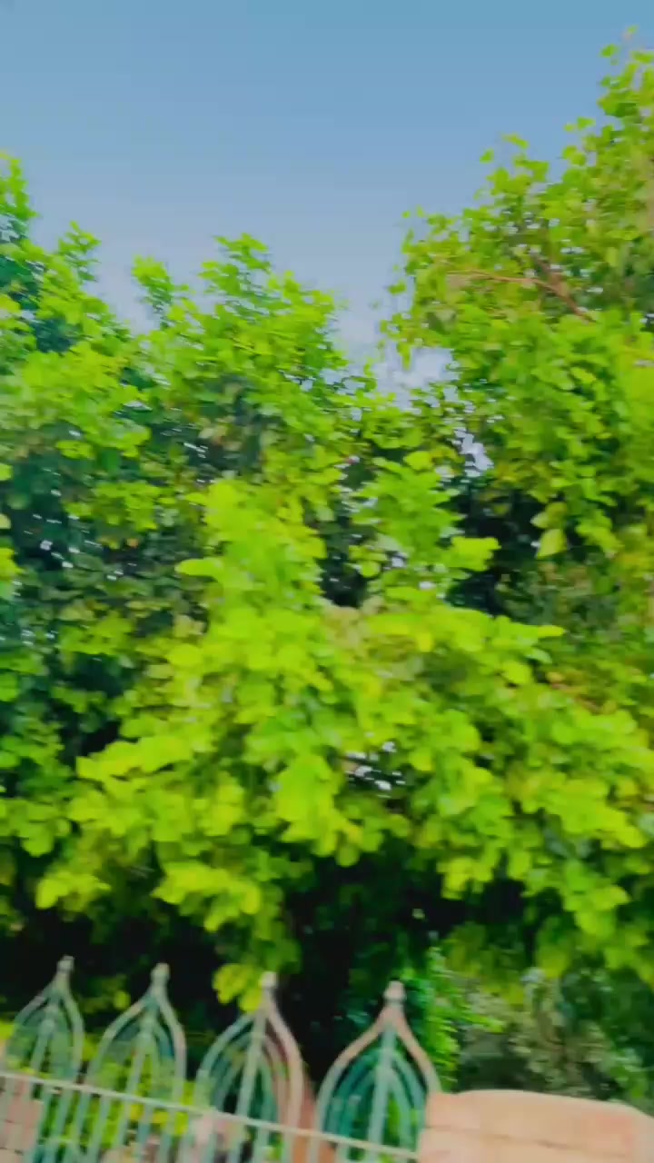 @👑حسین شاہد قریشی👑