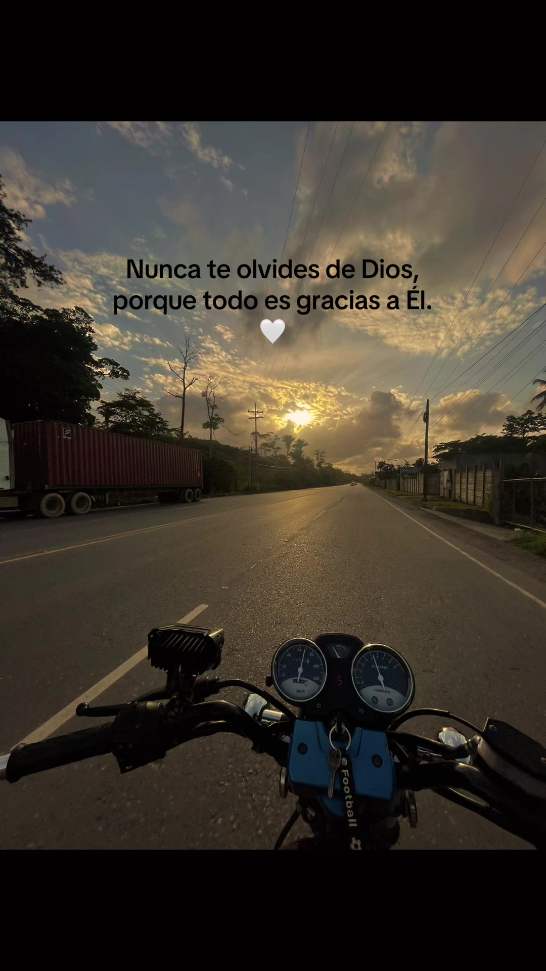 @Lusvin Montufar 🐙