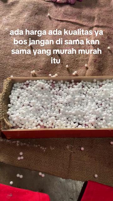 @agro lestari jaya 2