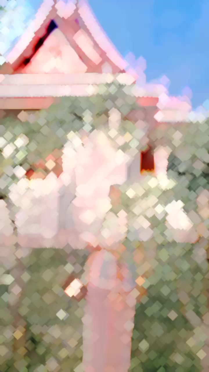 @ChauDhary NeElU🥰🥰🥰