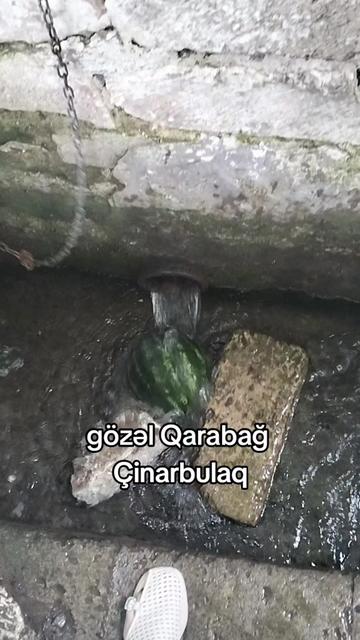 @Yegane.Laçınlı