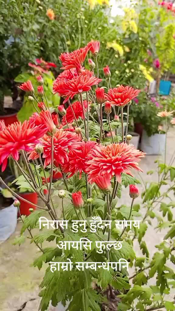 @बिन्दास प्रभु