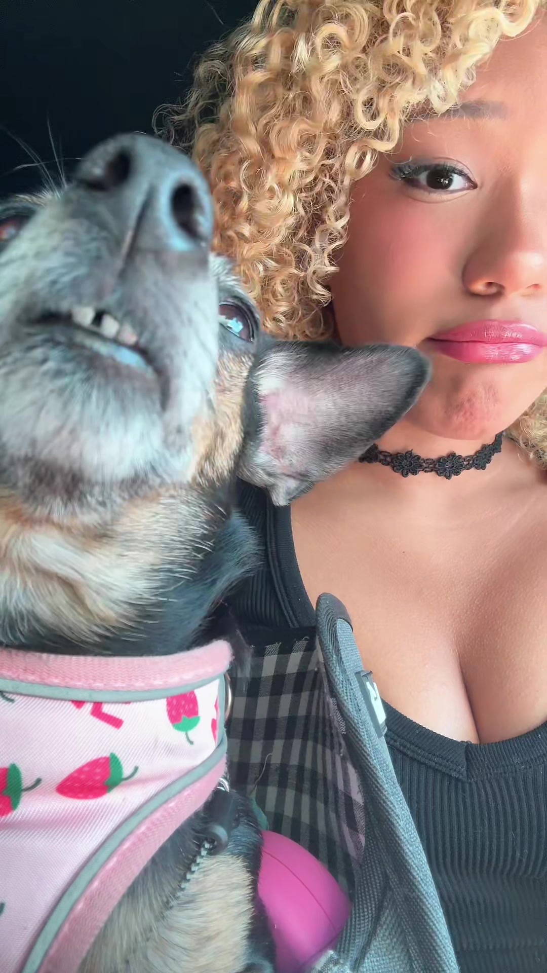 @xixi 💋