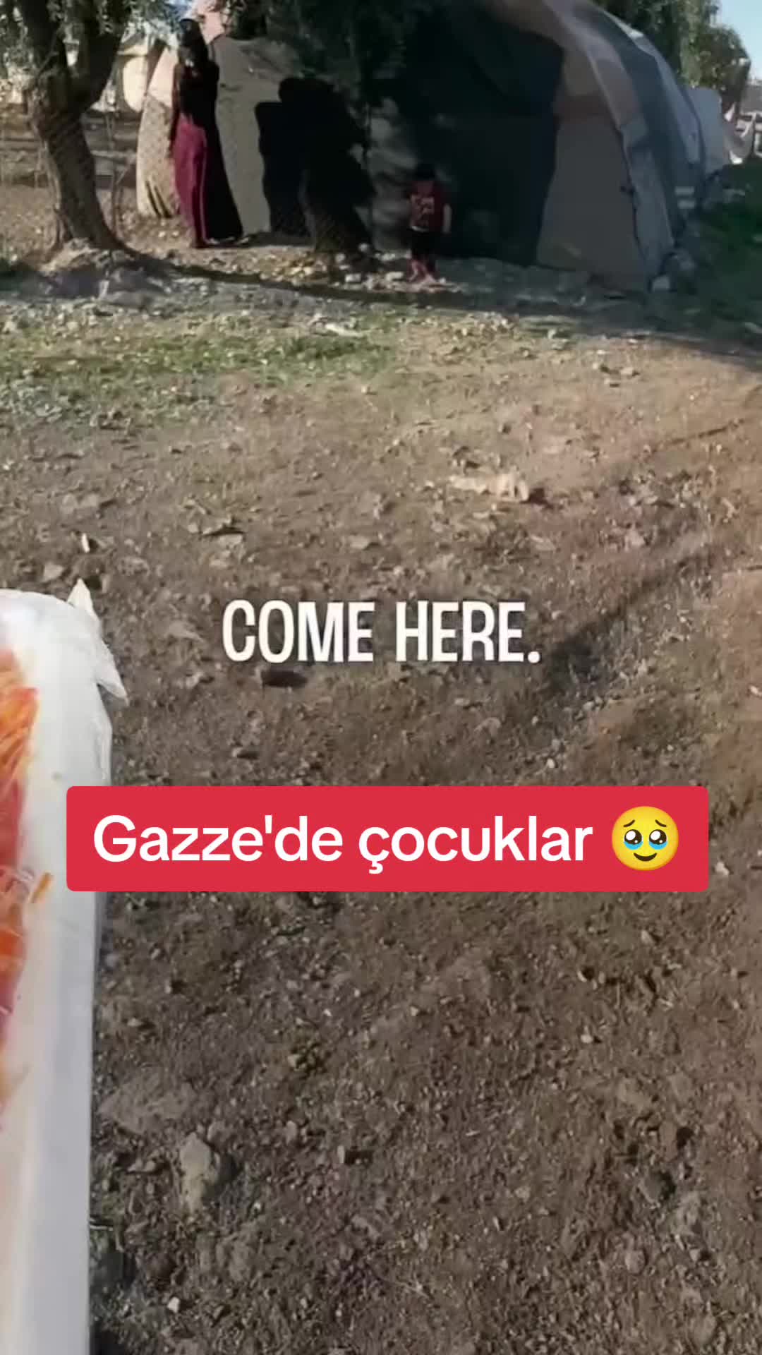 @VeLi