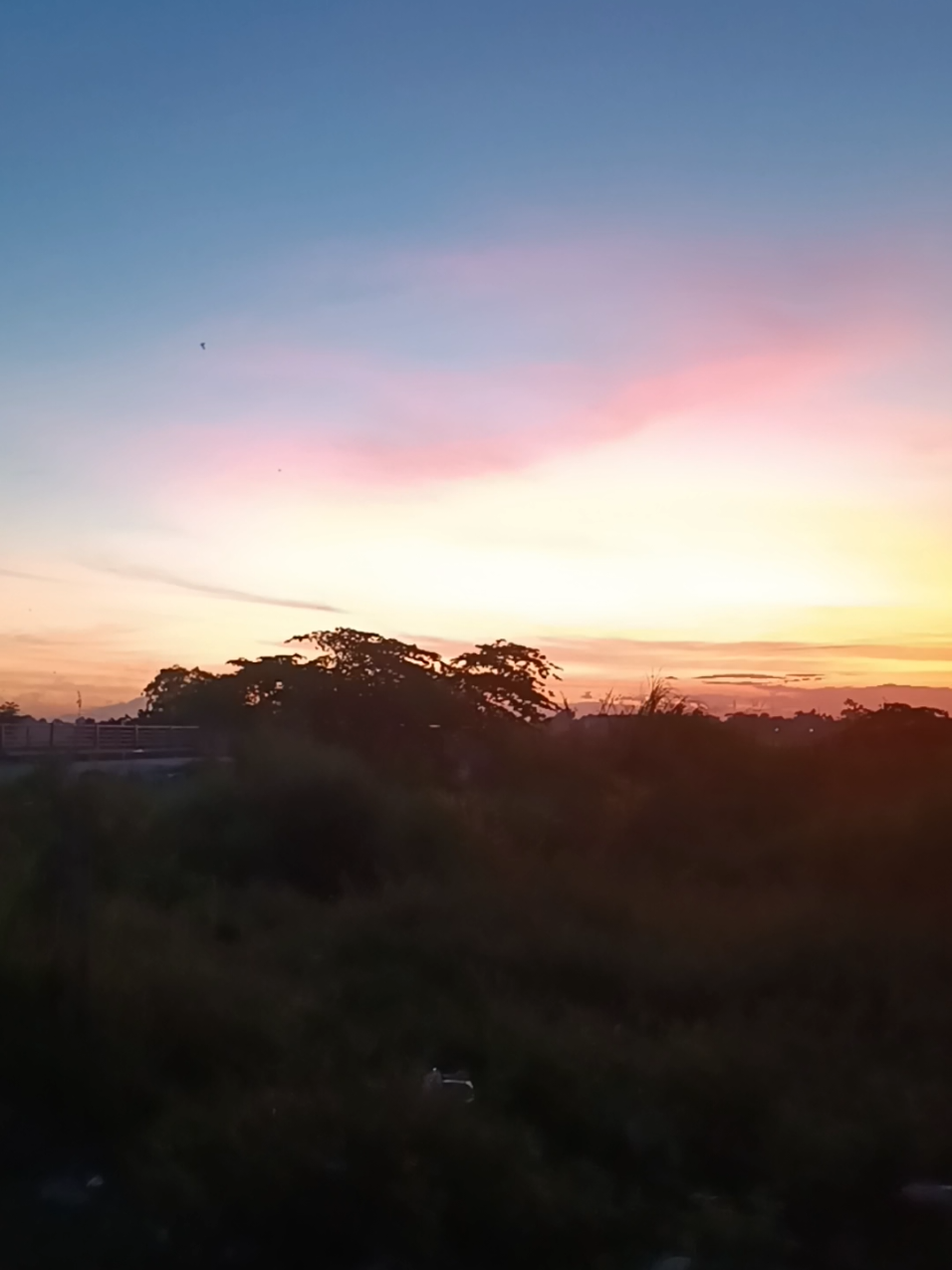 @Tổng Sỉ Hu&acirc;n Hường Thổ Tang