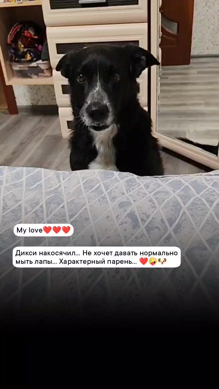 @Lenochka
