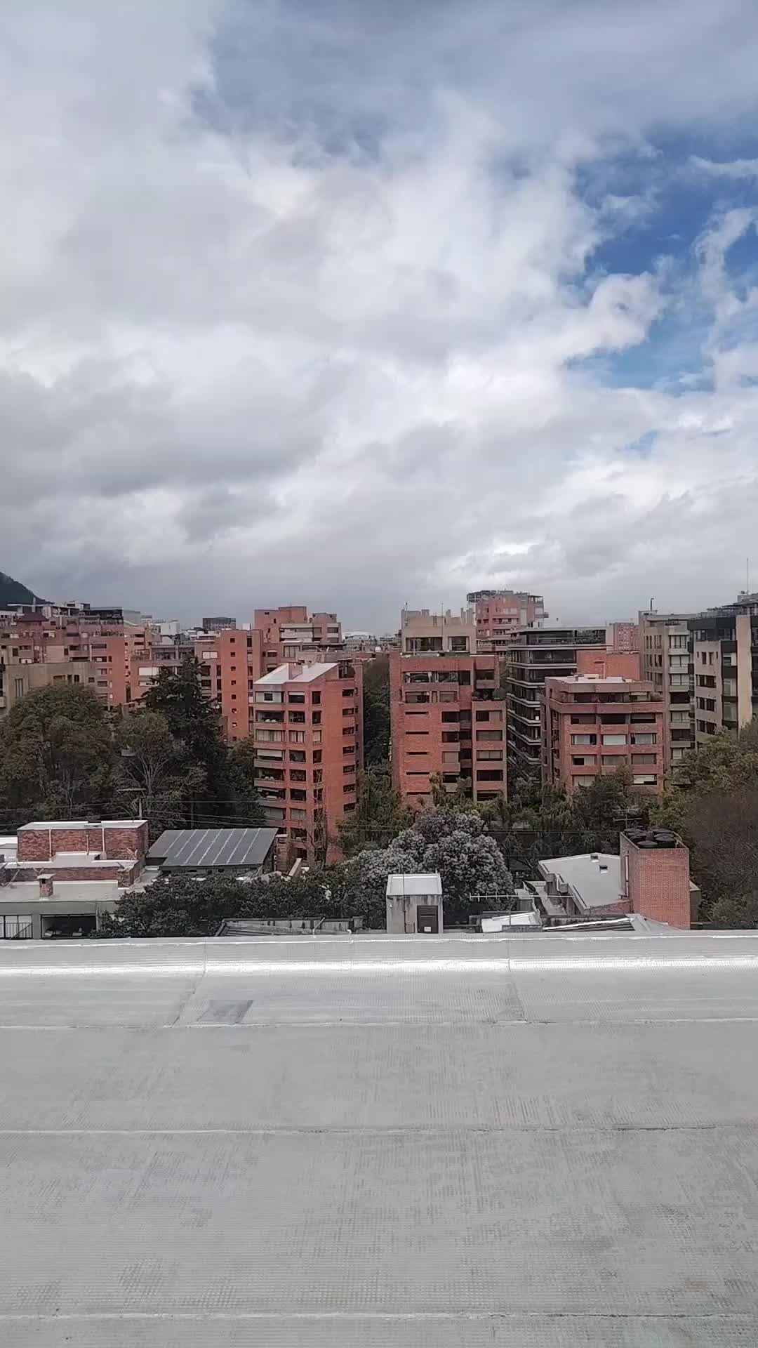 @el turpial del valle HM