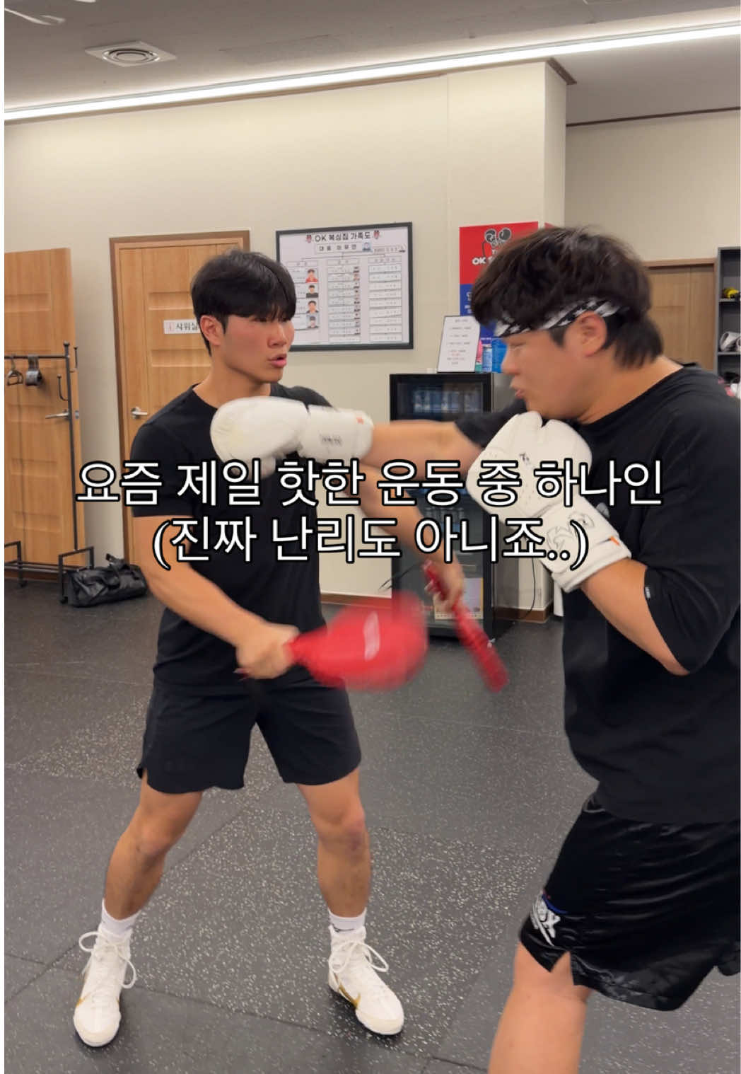 @LLBX 롱롱복싱
