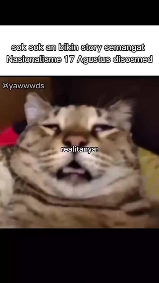 @yawwwds