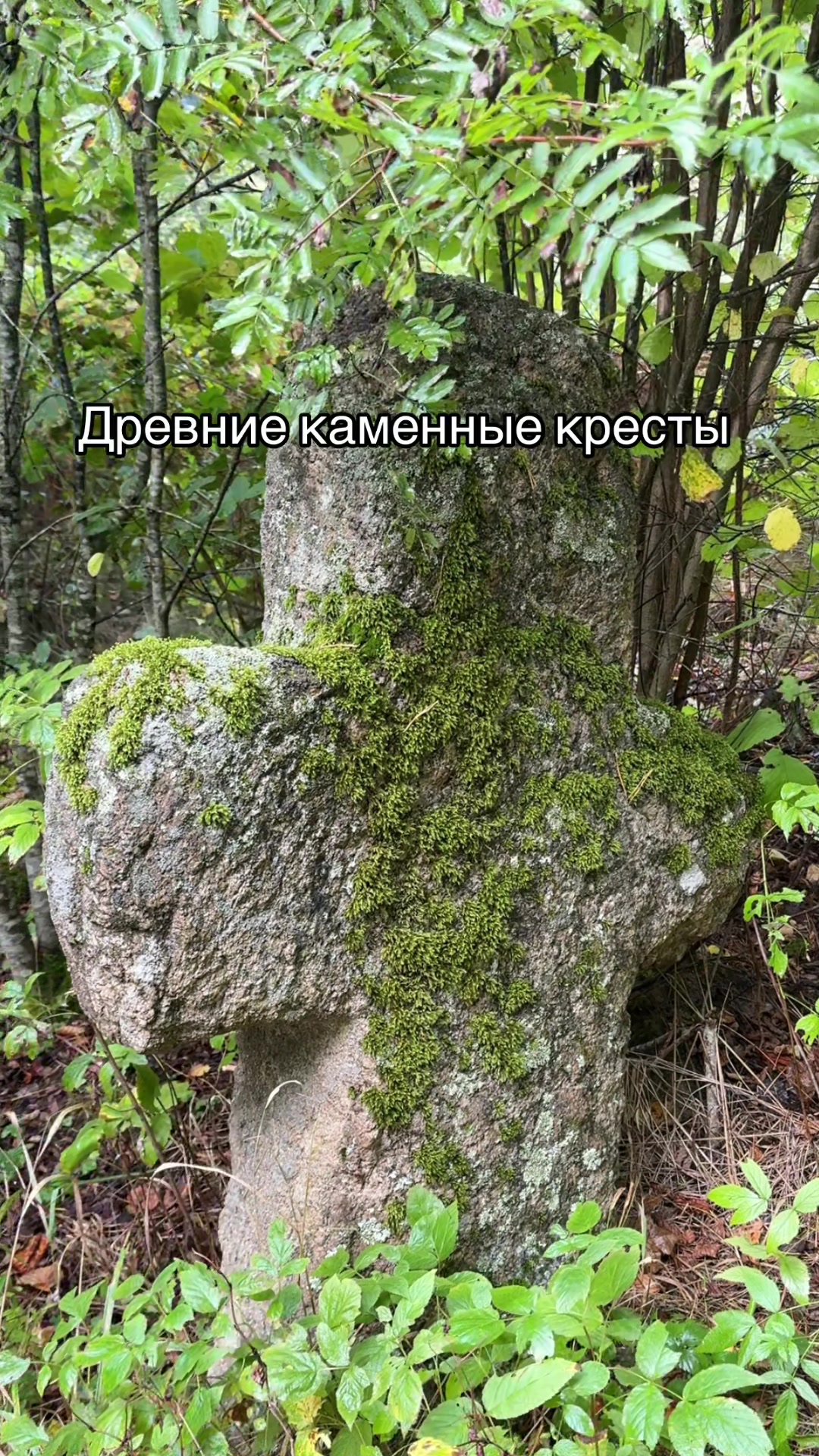 @Мілана Кахана