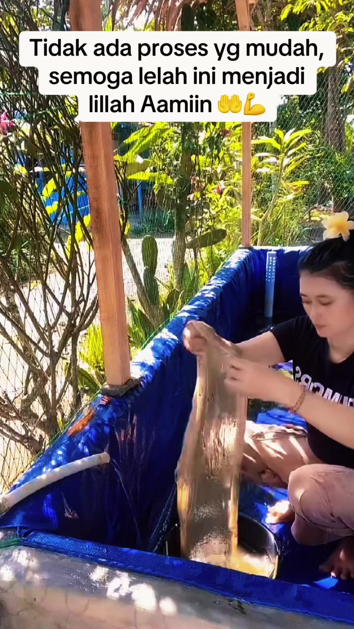 @uliulia2