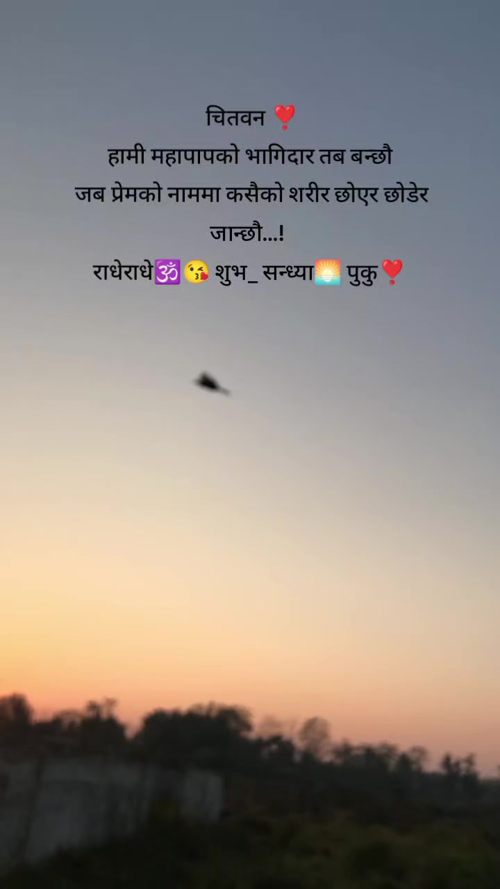 @Zero