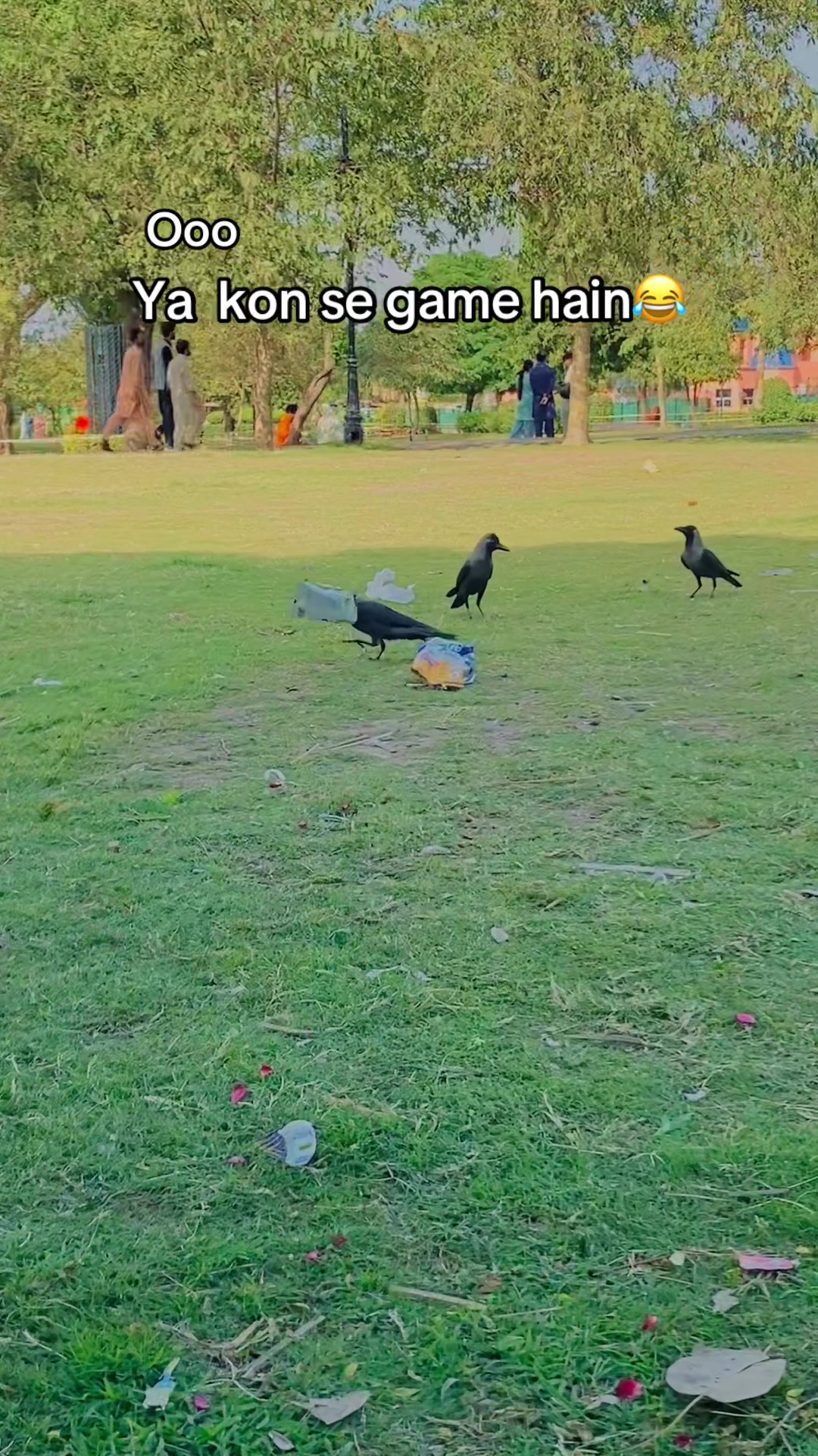 @🥬🎗️پنڈاں آے 🌺