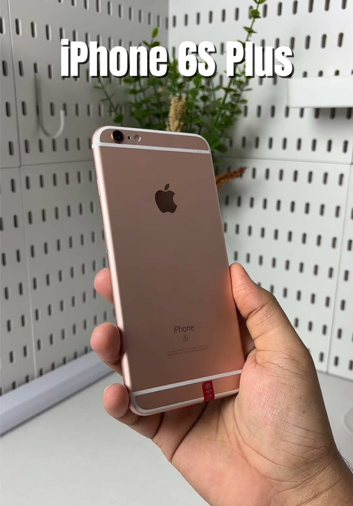 @iPhonary 🩷