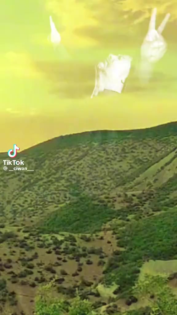 @Senol Ceylan740