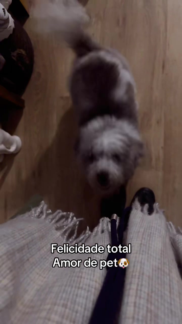 @regialohainelima