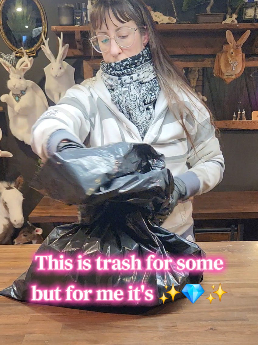 @May Jackalope Taxidermy 🇨🇦