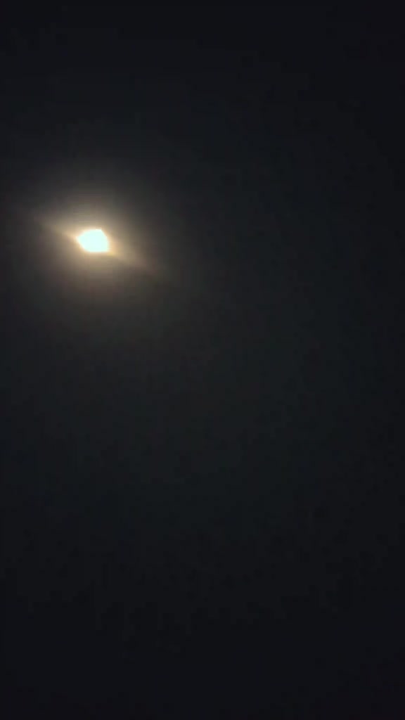 @inzamam jani