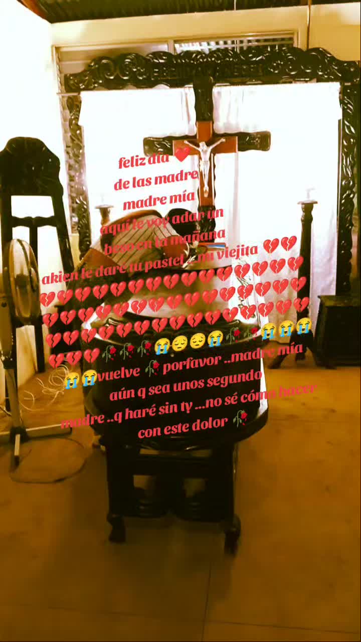 @🌸 Garcia🦋