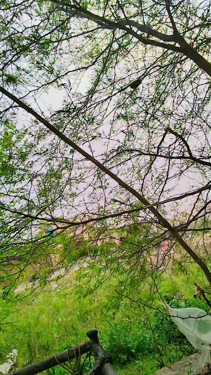 @شہزادی♥️♥️♥️💯🫂