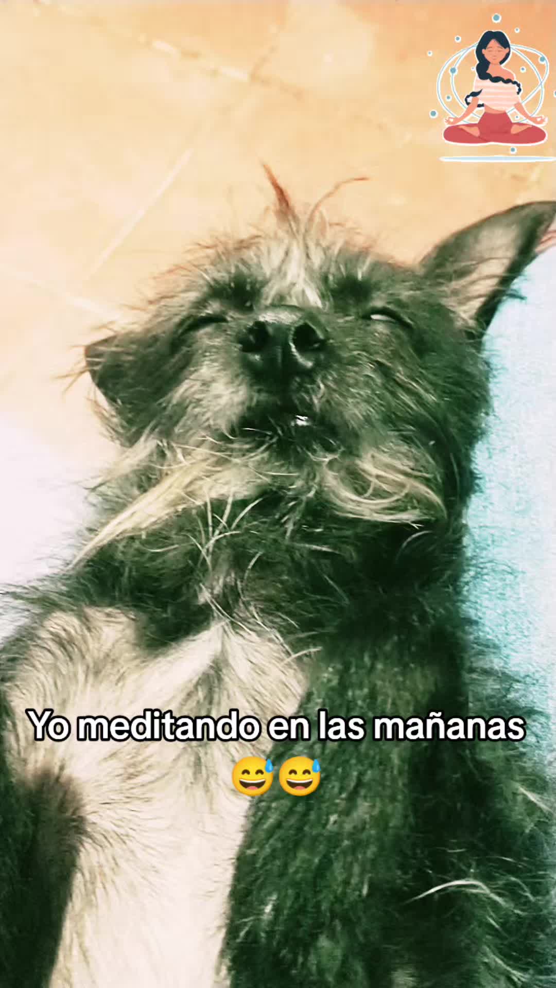@La Dory y sus amigos