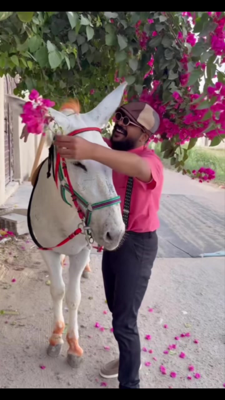 @﮼غزال 🦌 (﮼فانز ﮼ابوريان 🍁)