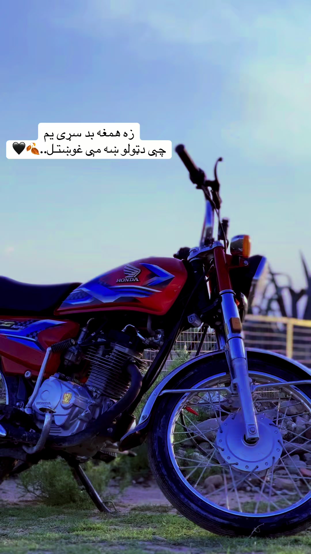 @ارمان🫀