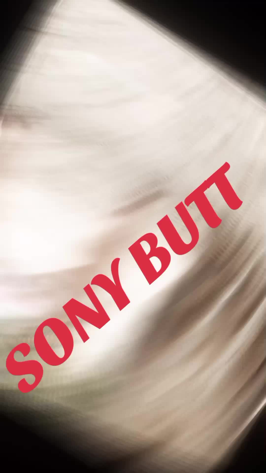 @Sonybutt333
