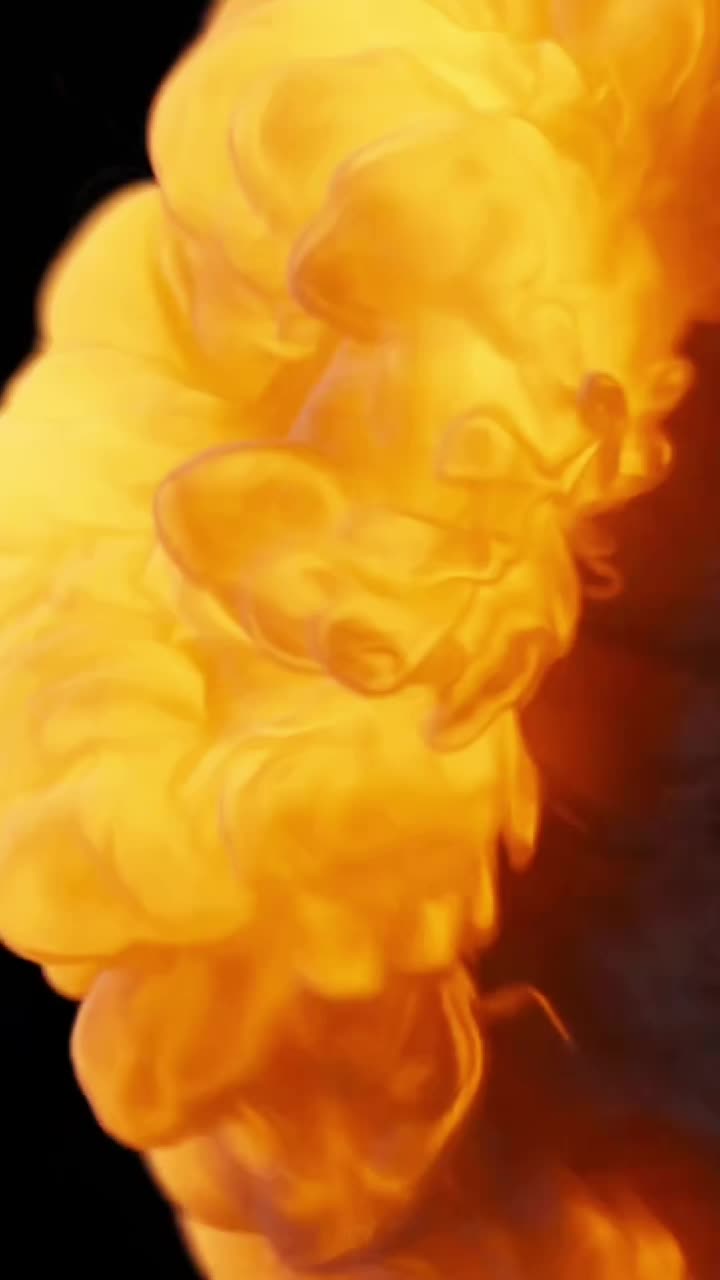 @๐ฆ๐ฆThe Lion ๐ฆ๐ฆ