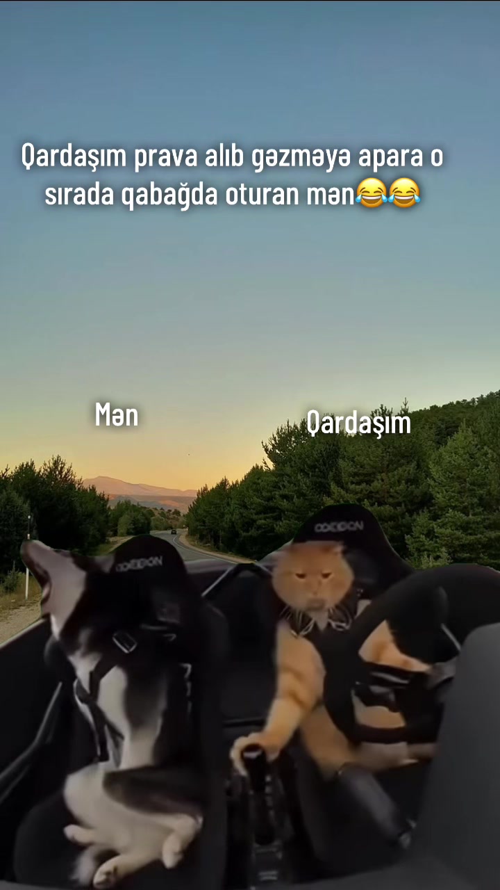 @♈️