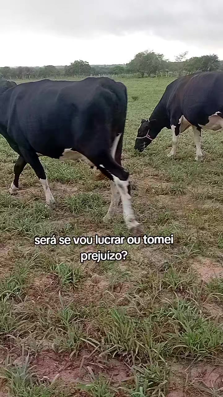 @jocriador
