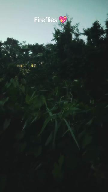 @greenlotusbomb