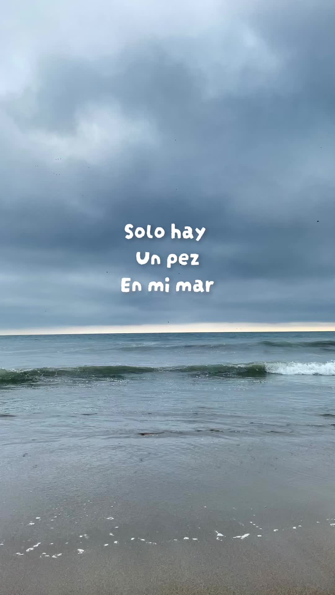 @bohórquez.27