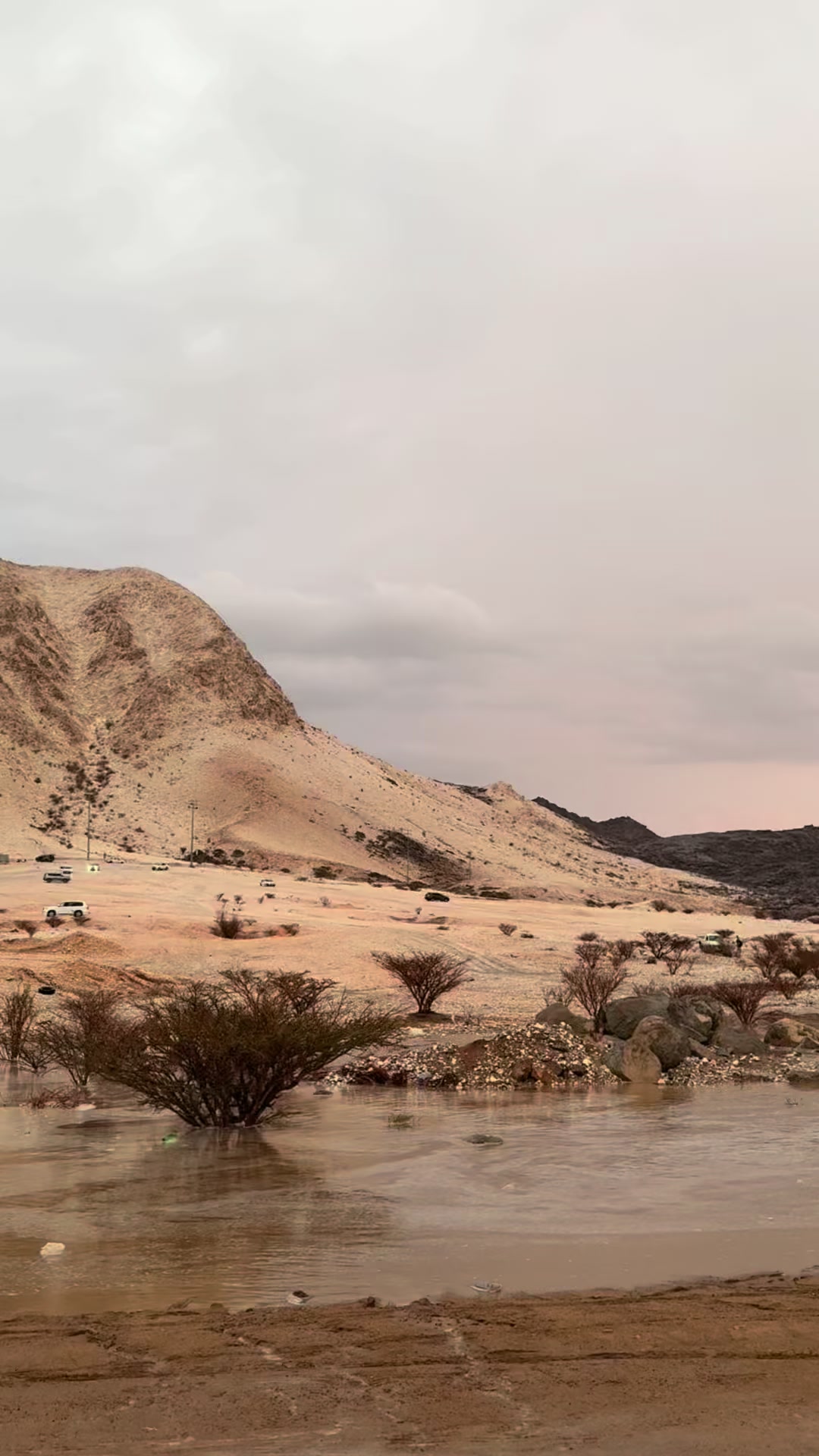 @مصورة جوال | 🤳Aldeem