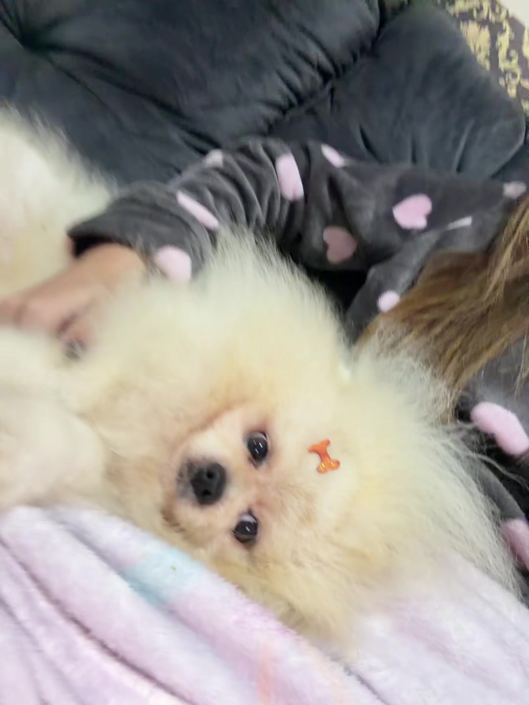 @Natasha💯panda