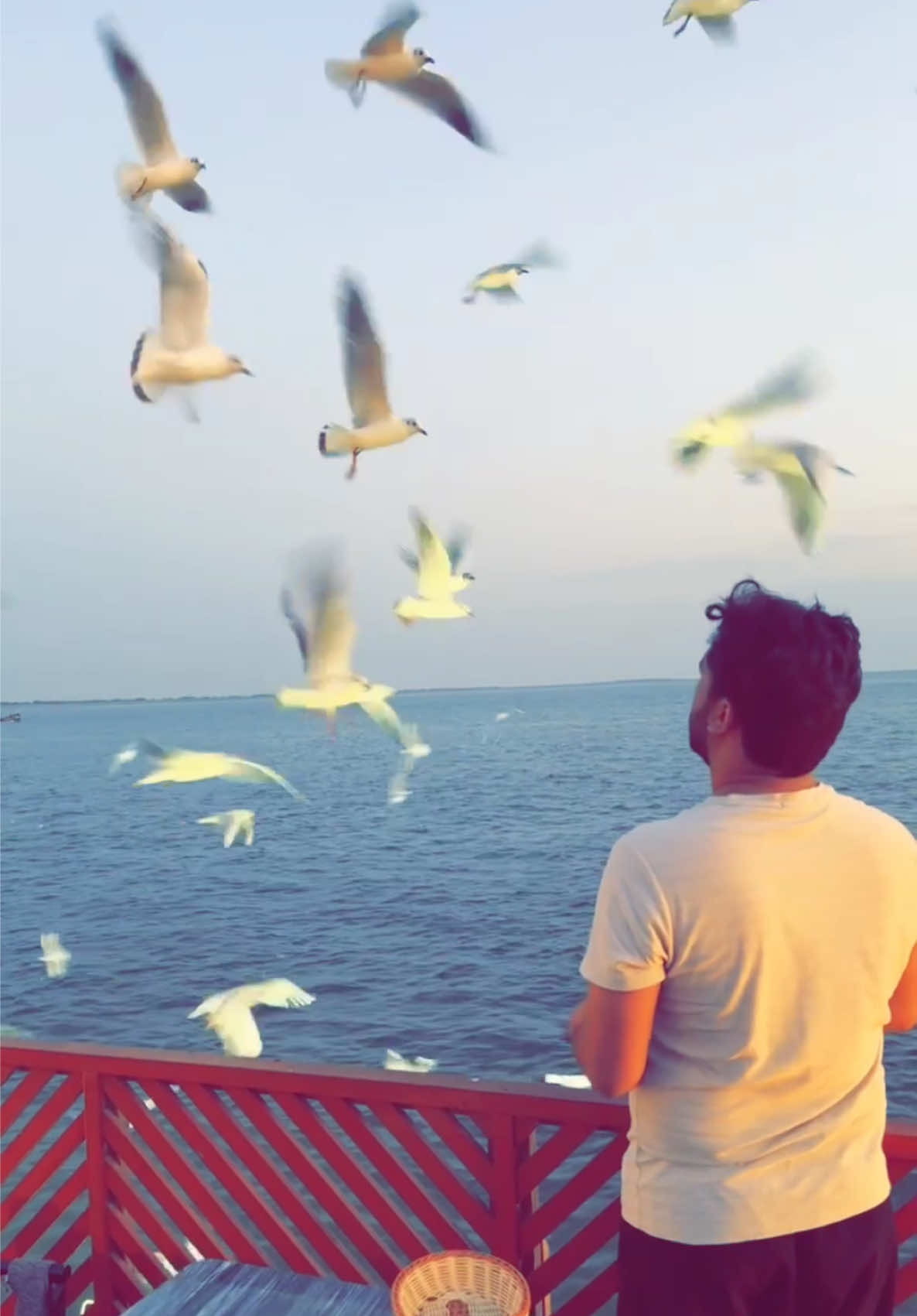 @Syed عادل Shah Bukhari ✪
