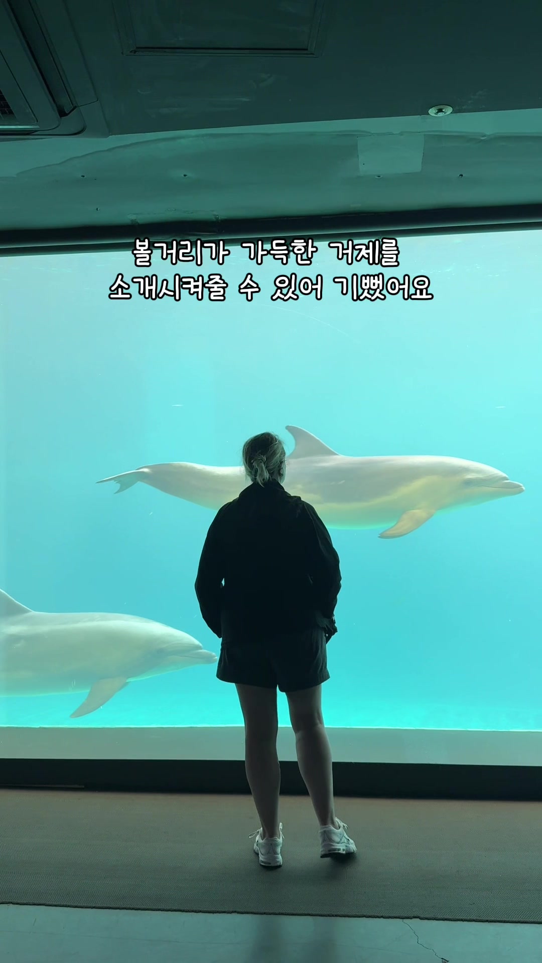 @DolphinTok