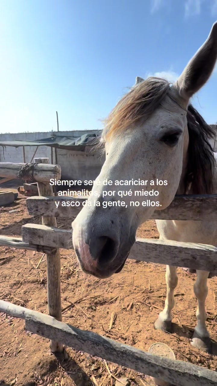 @Lyneth paz