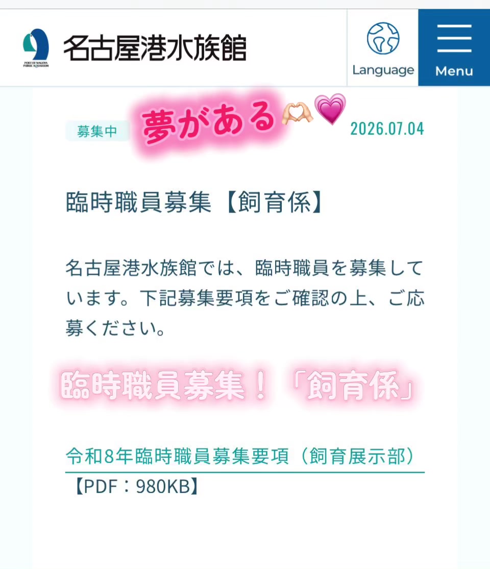 @️🫍シャチが癒し️🌈️️🫧