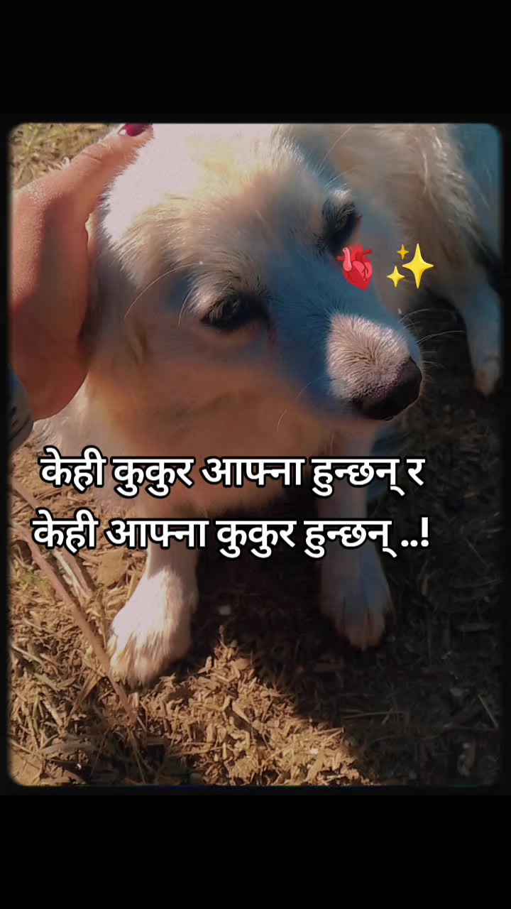 @~SarMila🕊️🦚~