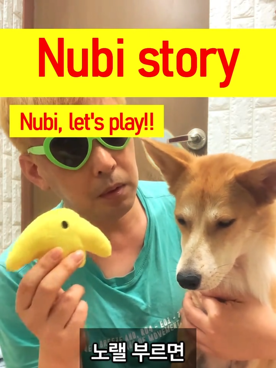 @누비★스토리 Nubi story