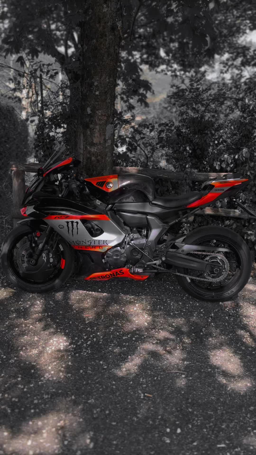 @♠️𝗦𝗛𝗔𝗗𝗢𝗪_𝗟𝗨𝗞𝗘♦️