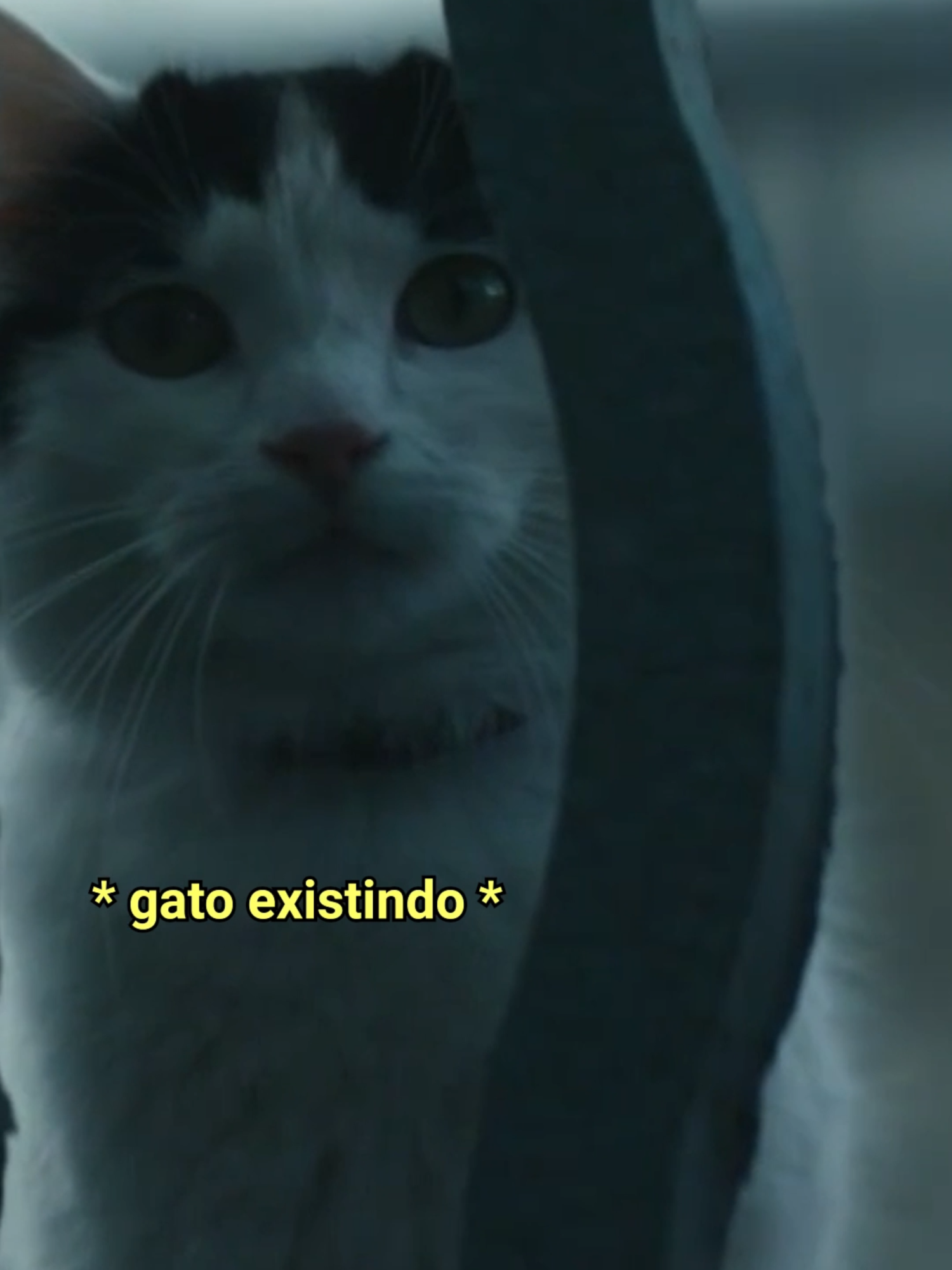 @telecine